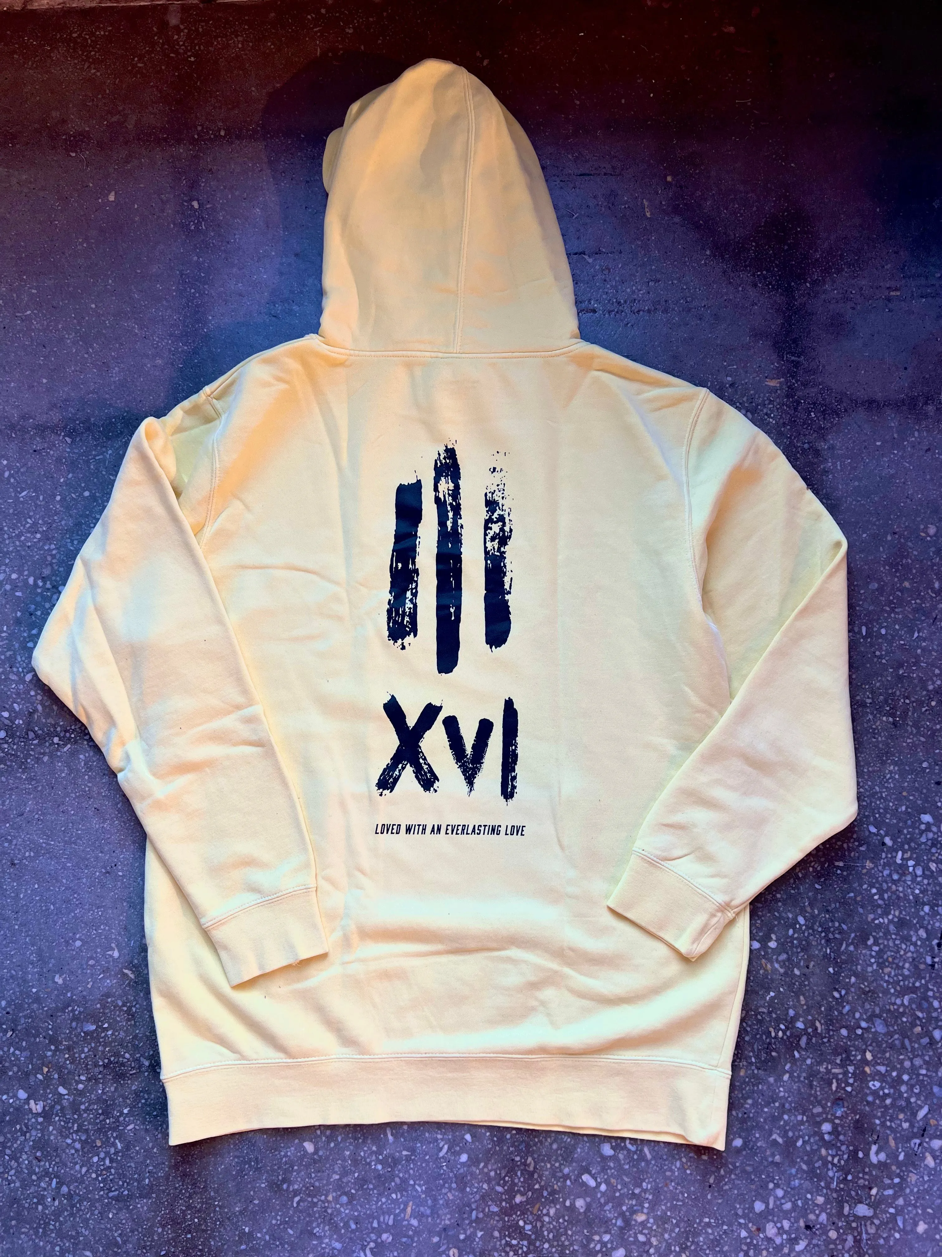 (CLEARANCE) John 3:16 Adult Sponge Fleece Hoodie