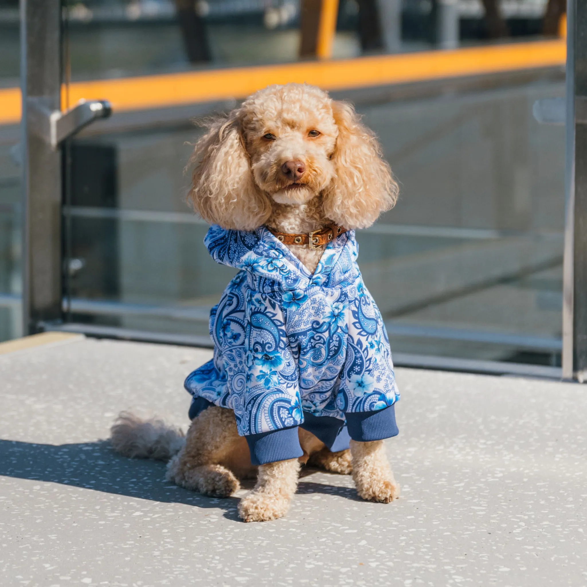 Oceanic Opulence Dog Hoodie