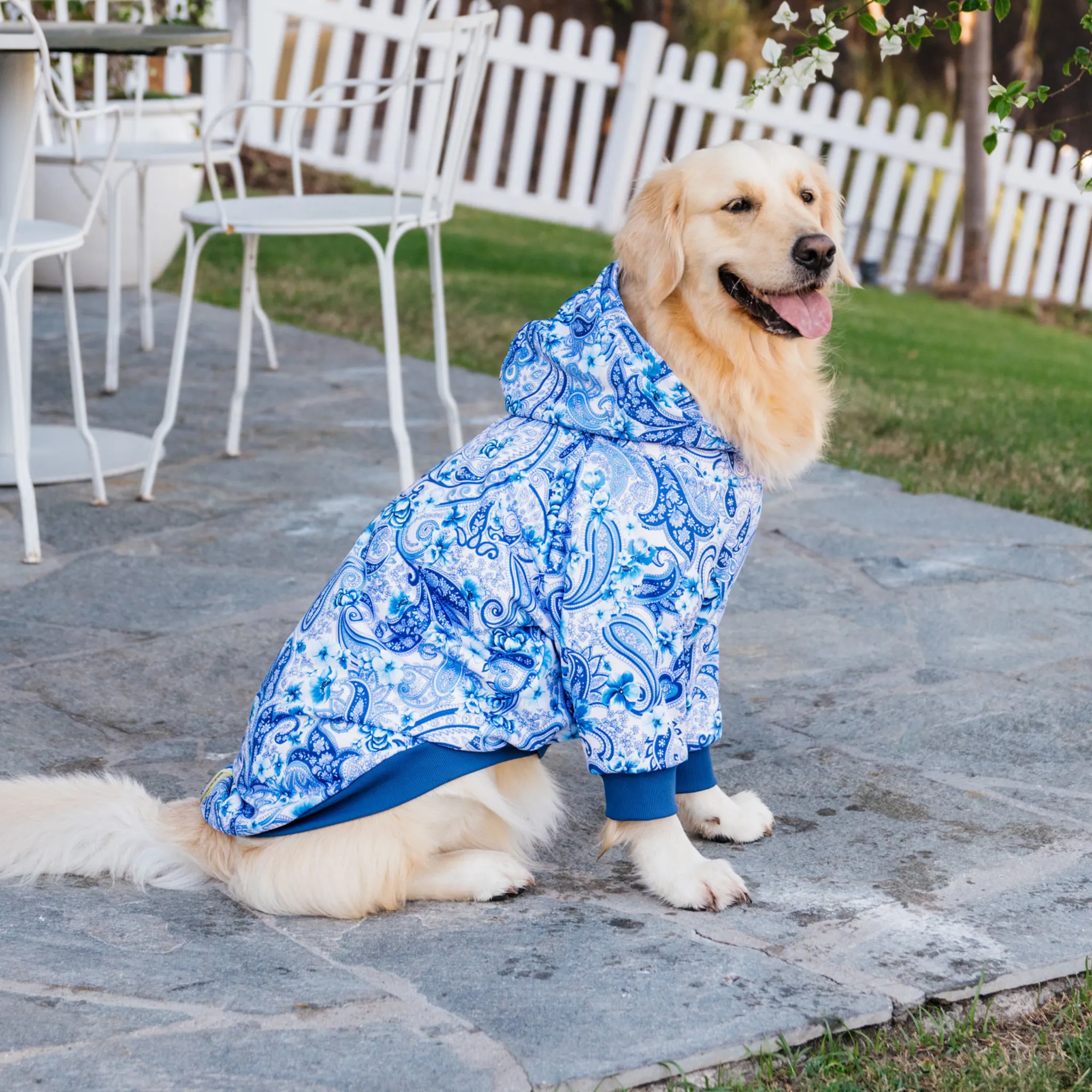 Oceanic Opulence Dog Hoodie