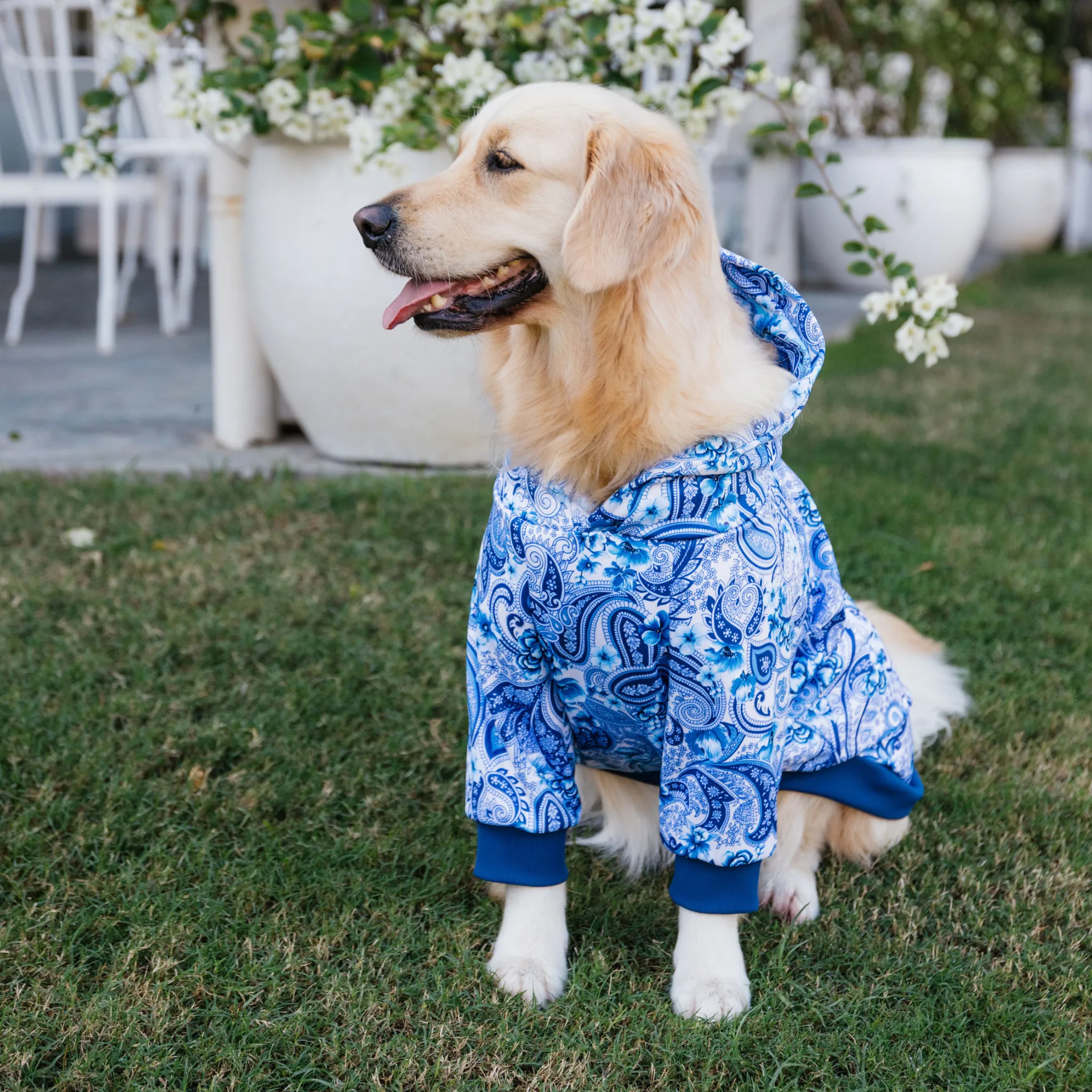 Oceanic Opulence Dog Hoodie