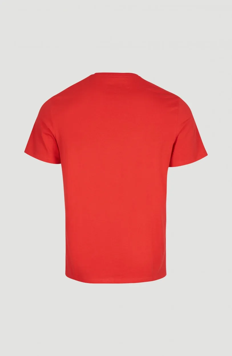 O'Neill T-Shirt | Plaid
